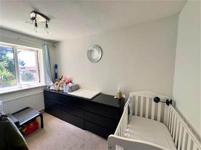 Picture 7